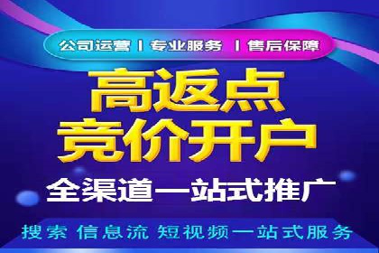 网络推广中的竞价广告：成功案例解析